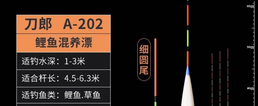 邓刚老师亲授，草鱼调漂全攻略，从饵料到玉米钓法一网打尽！