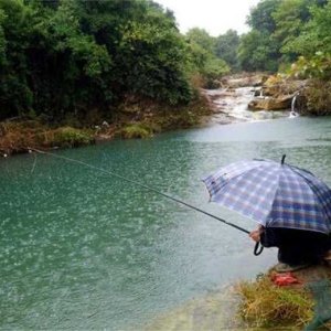 为什么下雨天反而更好钓鱼？老钓友告诉你雨天出钓的秘诀